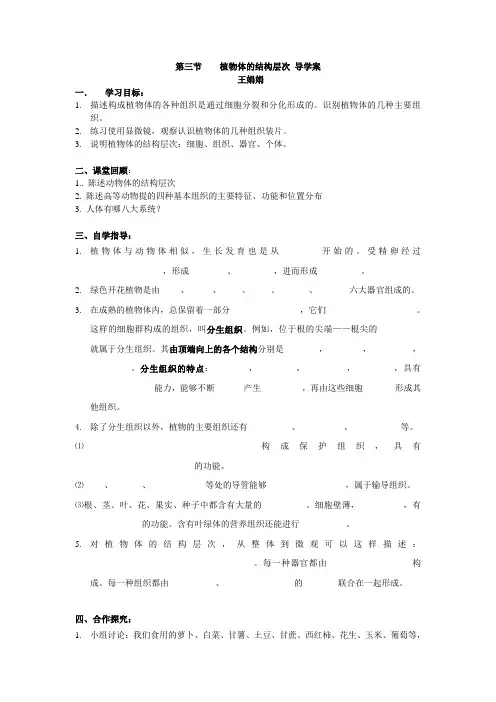 植物体的结构层次1_导学案