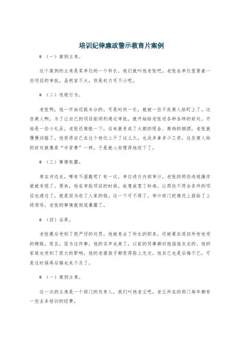 培训纪律廉政警示教育片案例