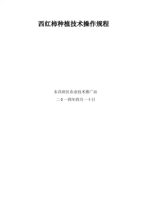 绿色食品西红柿种植技术操作规程