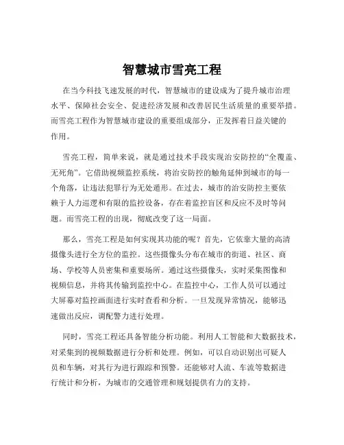 智慧城市雪亮工程