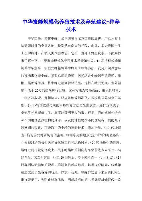 中华蜜蜂规模化养殖技术及养殖建议 - 种养技术