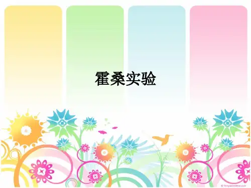 霍桑实验(ppt版本)