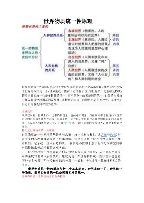 世界物质统一性原理(精)