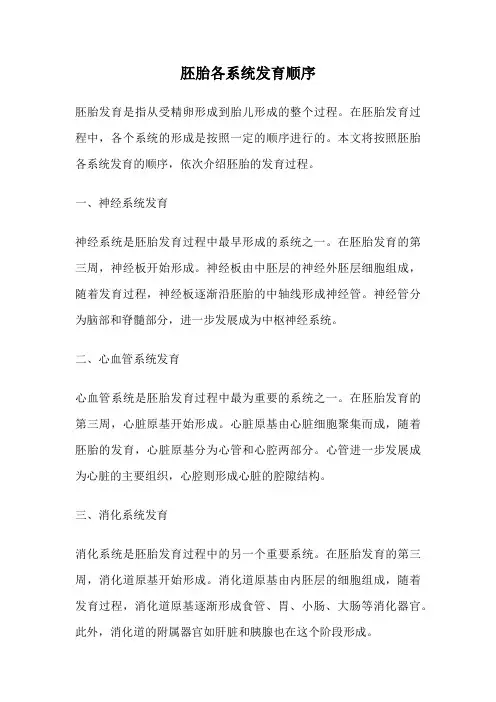 胚胎各系统发育顺序