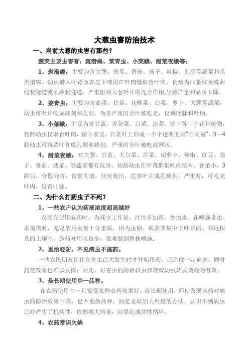 大葱斑潜蝇