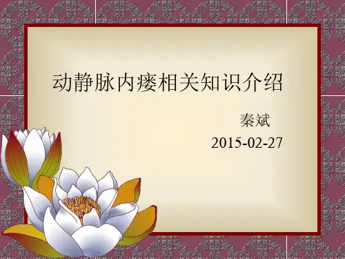 动静脉内瘘PPT课件