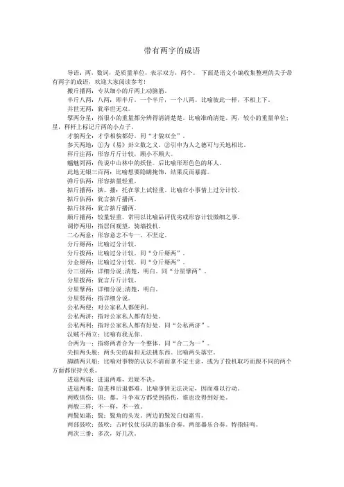带有两字的成语