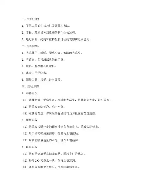 种植大蒜实验报告