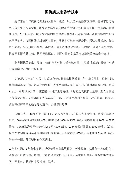 国槐病虫害防治技术