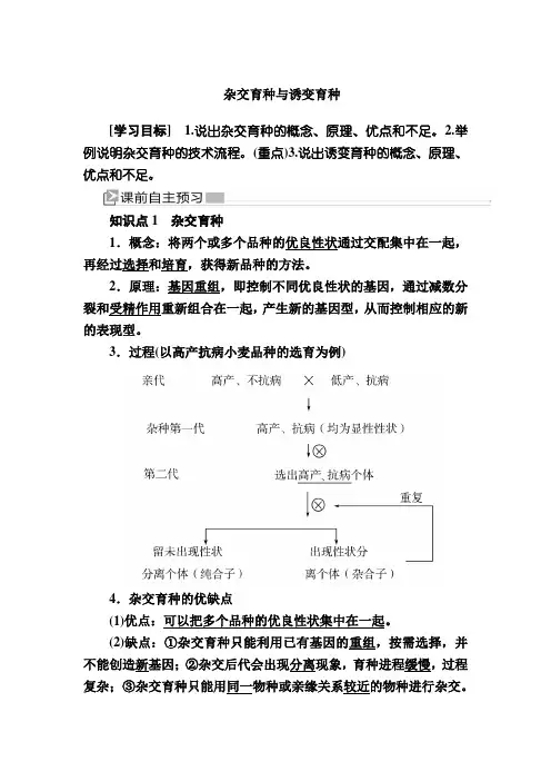 杂交育种与诱变育种 教学设计 教案