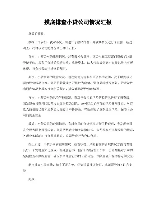 摸底排查小贷公司情况汇报