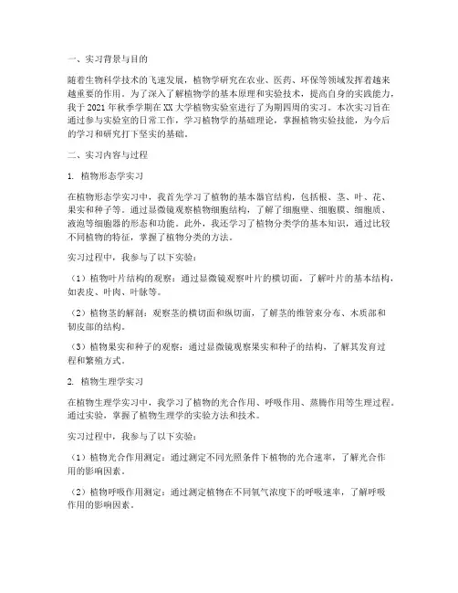 植物实验室实习报告