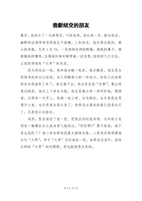 我新结交的朋友_四年级作文