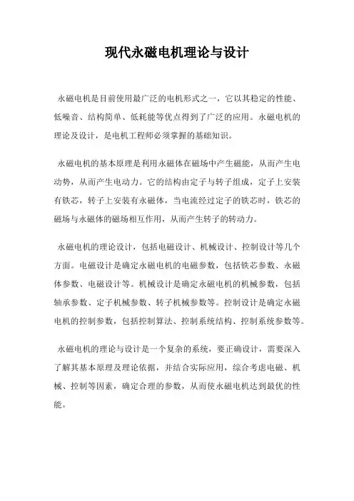 现代永磁电机理论与设计