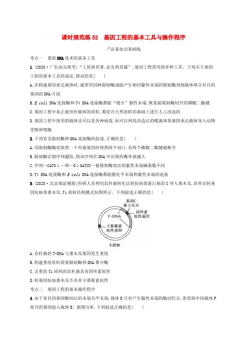 适用于新高考新教材备战2025届高考生物一轮总复习第10单元生物技术与工程课时规范练52基因工程的基
