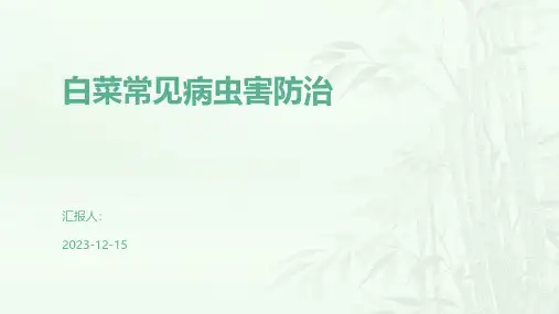 白菜常见病虫害防治