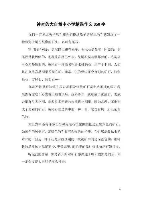 神奇的大自然中小学精选作文350字