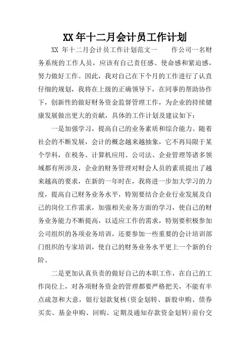XX年十二月会计员工作计划
