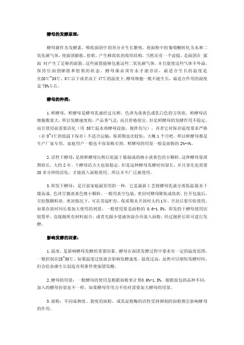 酵母的发酵原理