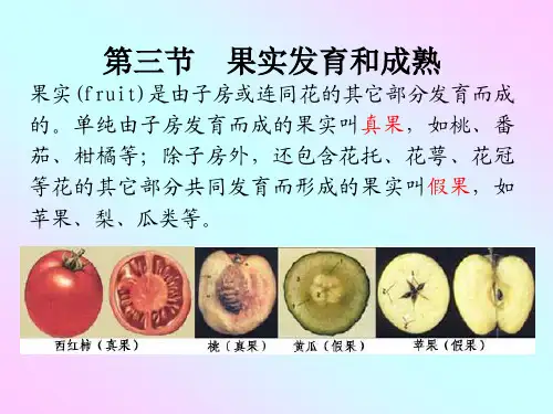 植物生理学第二课时（7）