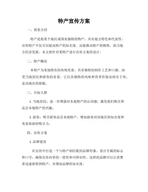 特产宣传方案