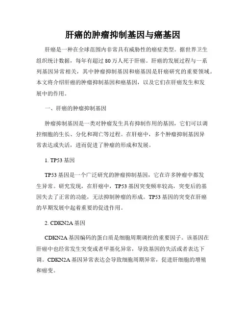 肝癌的肿瘤抑制基因与癌基因