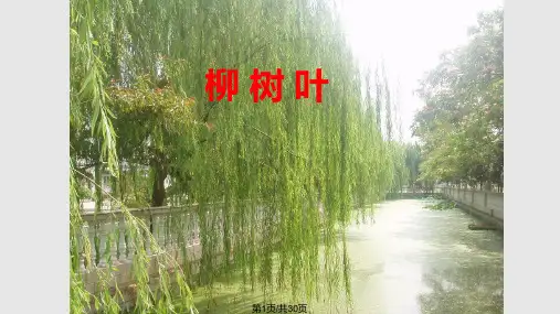 小学数学教学认识周长PPT课件