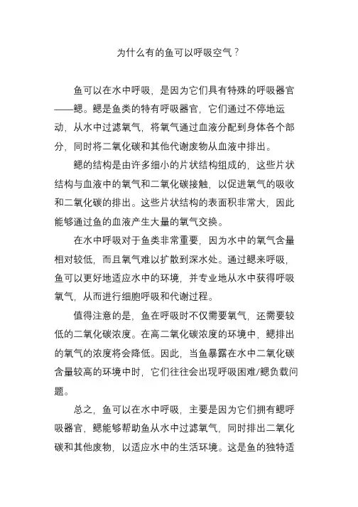 为什么有的鱼可以呼吸空气