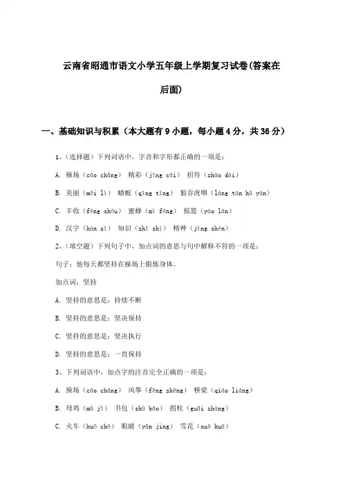 云南省昭通市语文小学五年级上学期试卷及解答参考