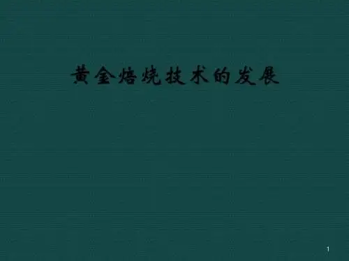 黄金冶炼现状及发展ppt课件