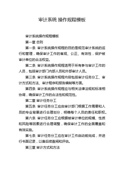 审计系统 操作规程模板