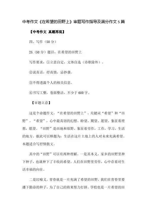 中考作文《在希望的田野上》审题写作指导及满分作文5篇