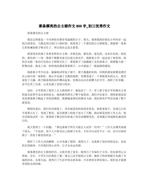 那条漂亮的公主裙作文800字_初三优秀作文
