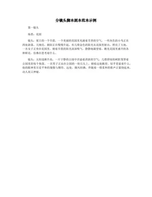 分镜头脚本剧本范本示例