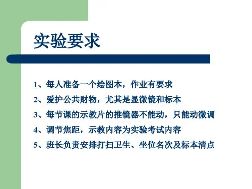 华枝睾吸虫、姜片吸虫、并殖吸虫图示