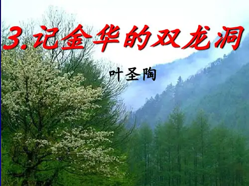 3.《记金华的双龙洞》优秀PPT课件