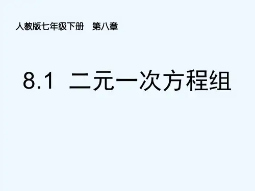 人教版二元一次方程组 PPT