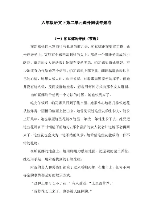 六年级语文下第二单元课外阅读专题卷  含答案 人教统编版