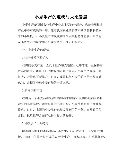 小麦生产的现状与未来发展