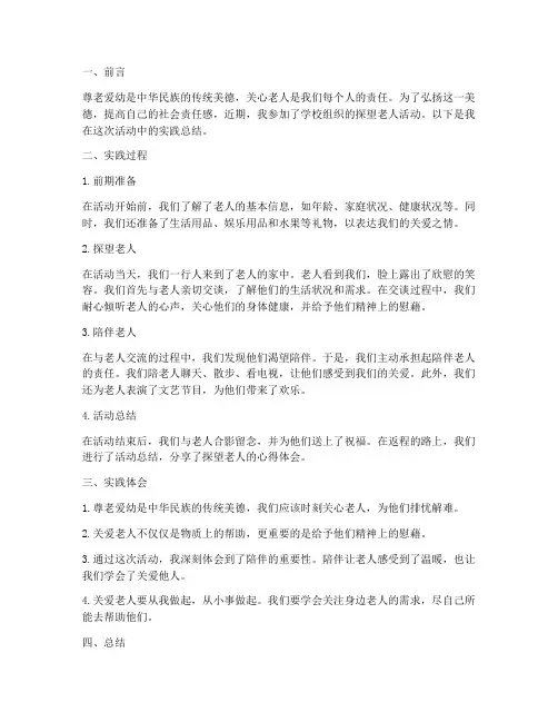 探望老人实践总结范文