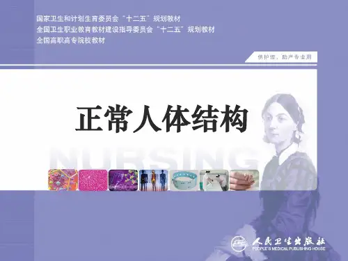 女性生殖系统80139 PPT课件