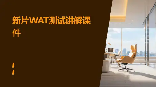 新片WAT测试讲解课件