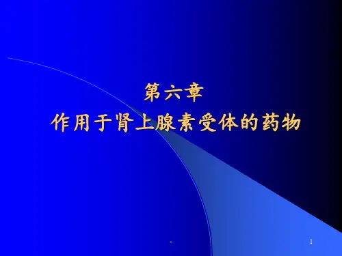 第六章-作用于肾上腺素受体的药物PPT课件