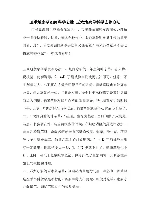 玉米地杂草如何科学去除 玉米地杂草科学去除办法.doc