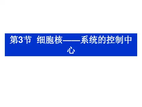 第3节 细胞核——系统的控制中心 (共25张PPT)