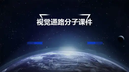 视觉通路分子课件