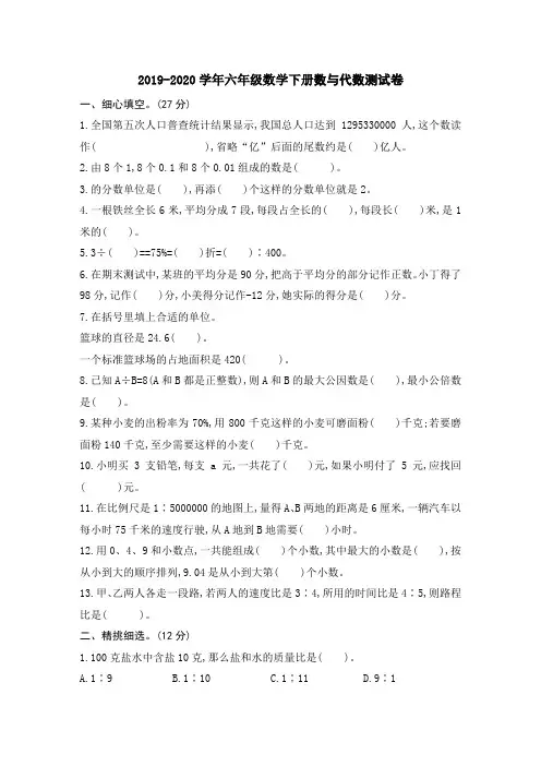 2019-2020学年苏教版六年级数学下册 数与代数 测试卷含答案