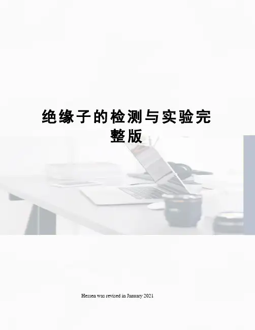 绝缘子的检测与实验完整版