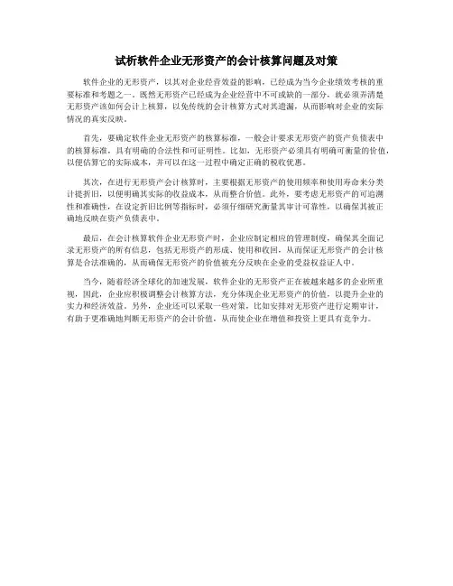 试析软件企业无形资产的会计核算问题及对策