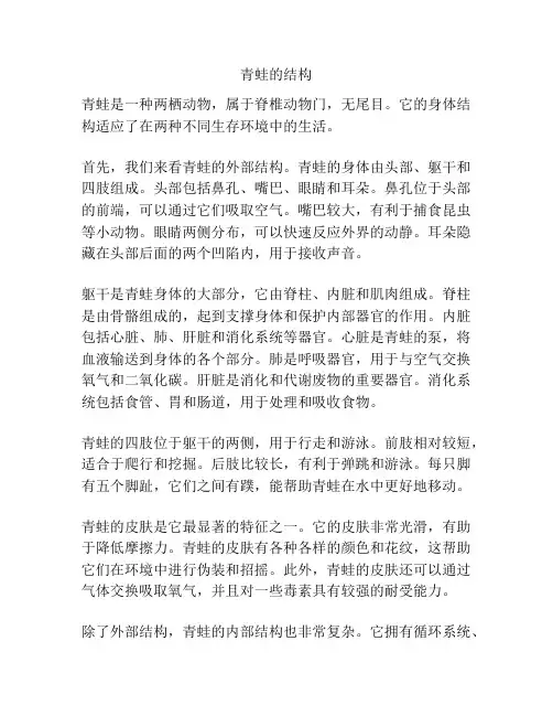 青蛙的结构